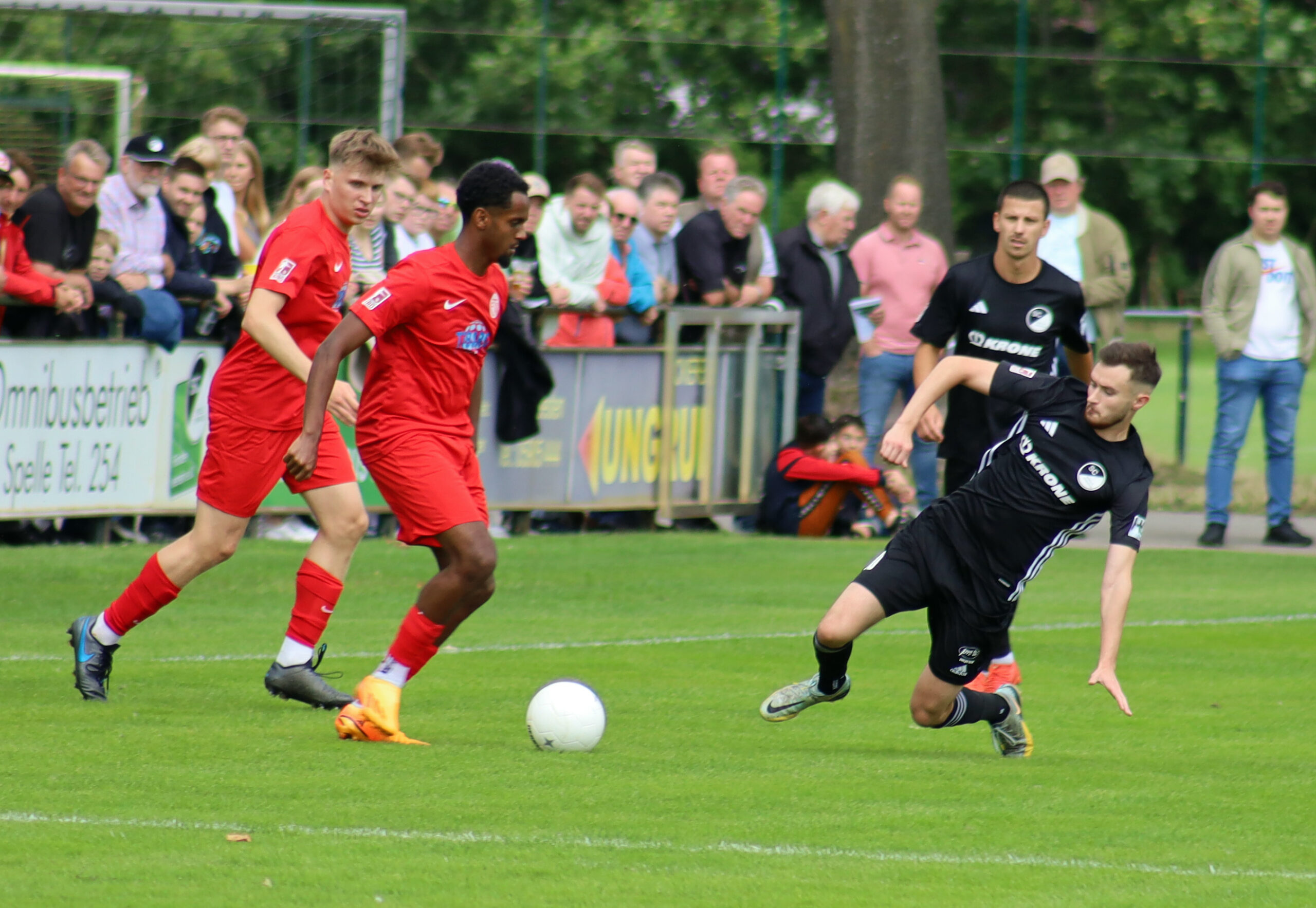 Das Hinspiel gewann der SC Spelle-Venhaus mit 3:2 gegen Eimsbütteler TV. Foto: SC Spelle-Venhaus