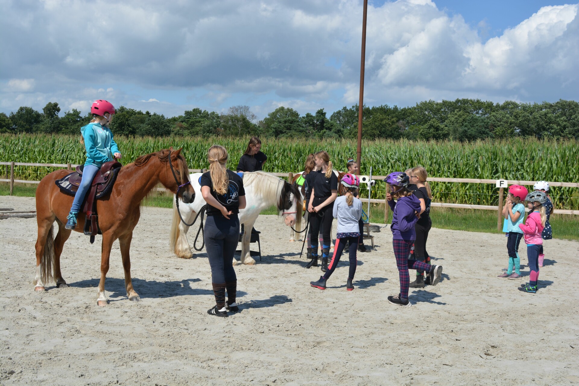 Auch ein Nachmittag mit Pferden steht beim Ferienpass auf dem Programm.
Foto: Gemeinde Geeste