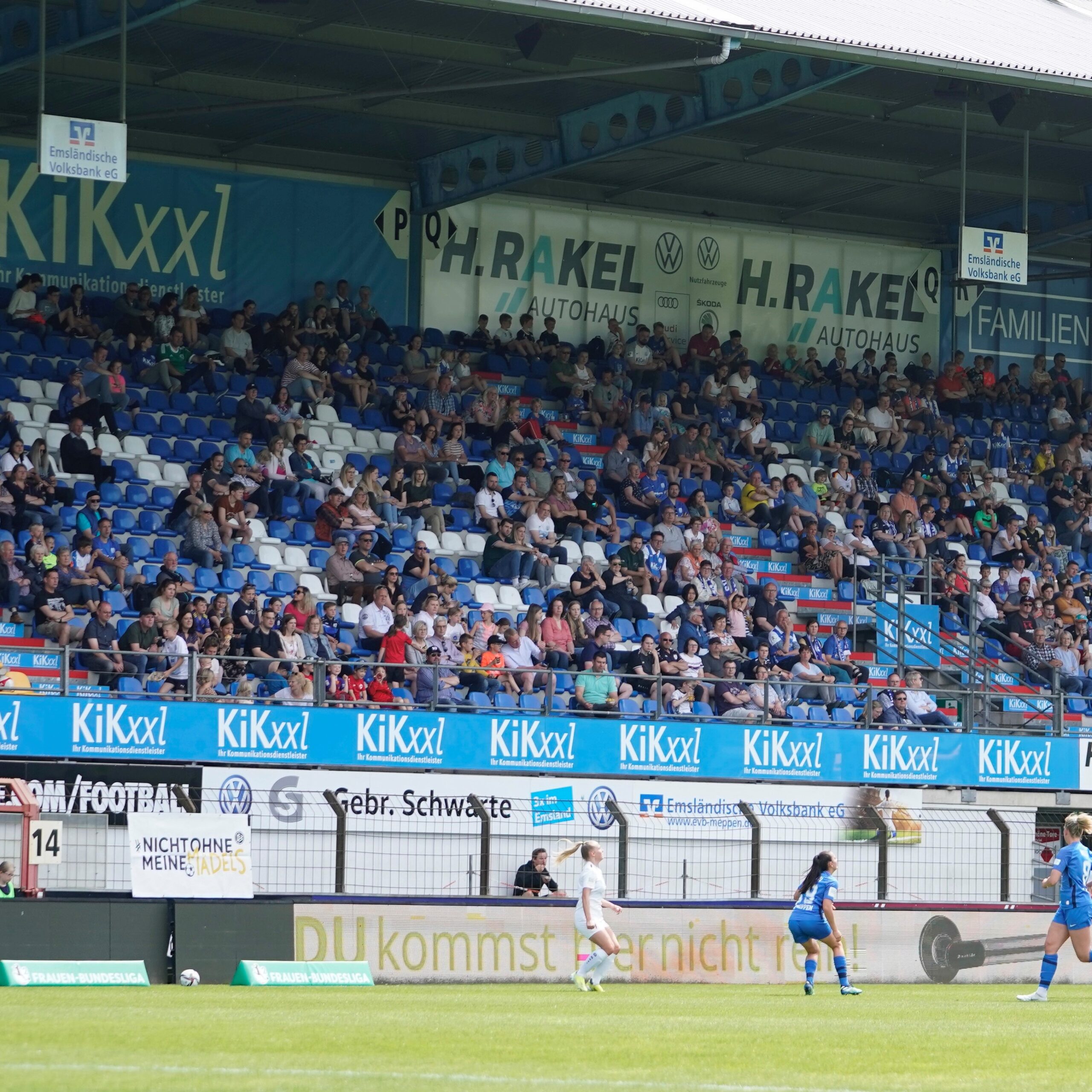 Foto: SV Meppen